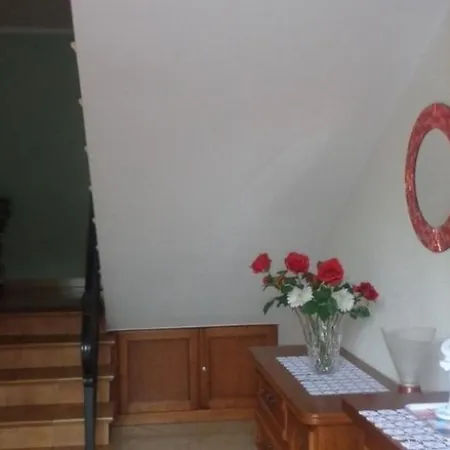 Viva Guest house Mszczonow