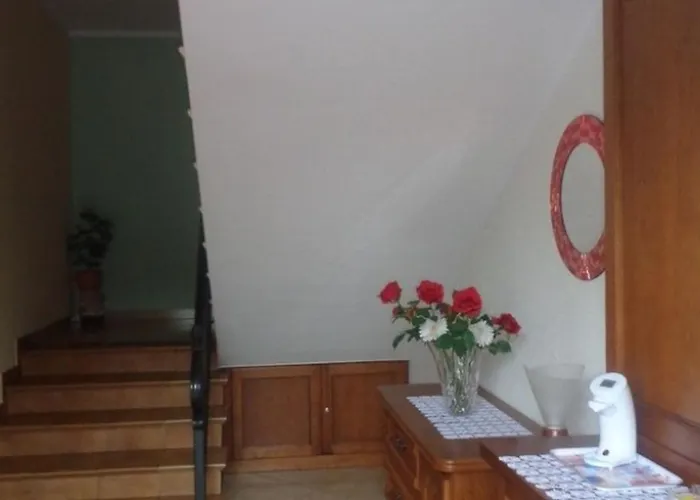 Viva Pensjonat Mszczonów